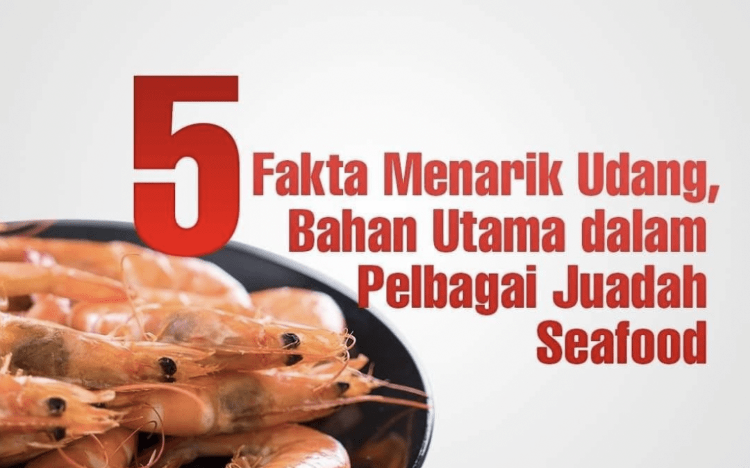 Jom tengok 5 Fakta Menarik Tentang Udang Dalam Pelbagai Juadah Seafood